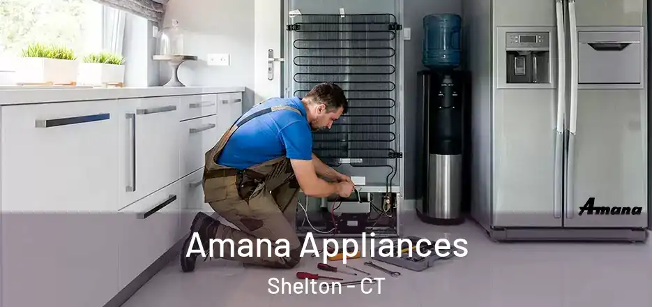 Amana Appliances Shelton - CT