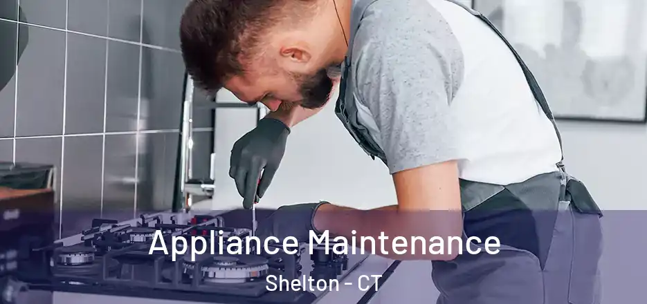 Appliance Maintenance Shelton - CT