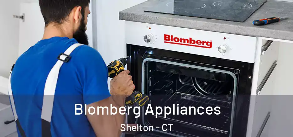 Blomberg Appliances Shelton - CT