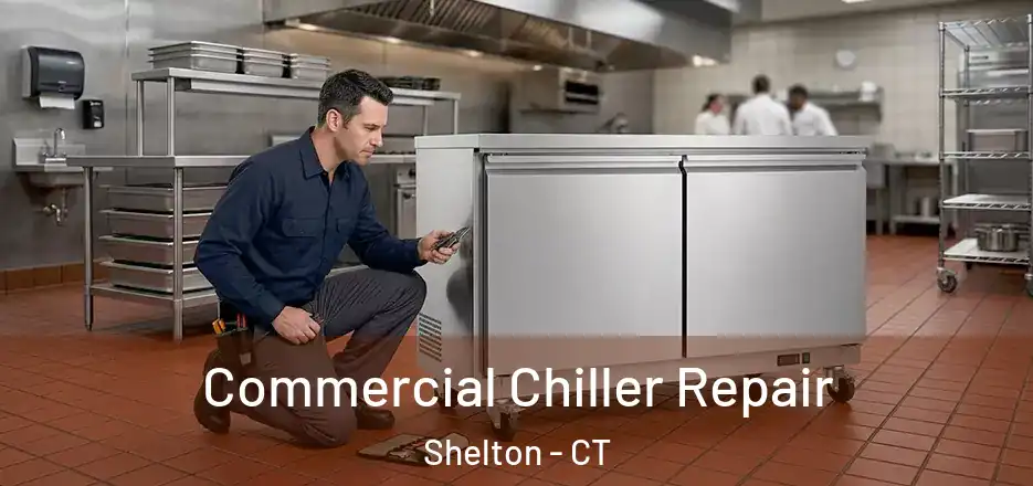 Commercial Chiller Repair Shelton - CT