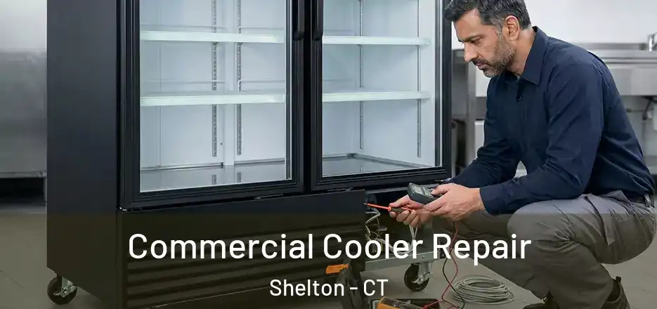 Commercial Cooler Repair Shelton - CT
