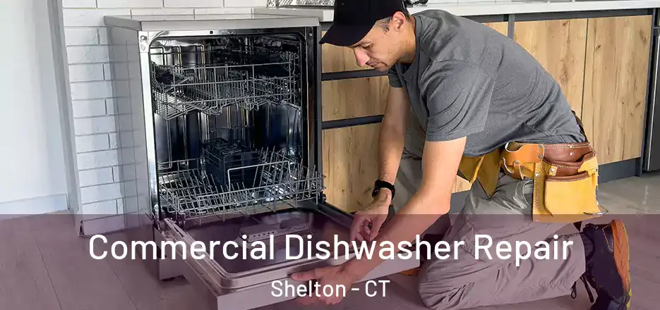 Commercial Dishwasher Repair Shelton - CT
