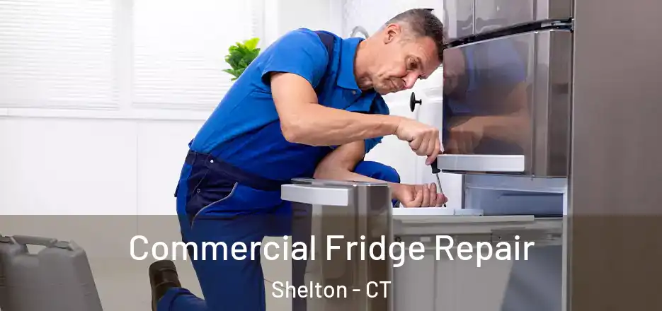 Commercial Fridge Repair Shelton - CT