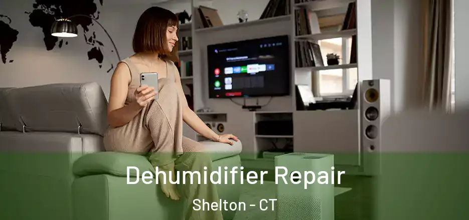 Dehumidifier Repair Shelton - CT