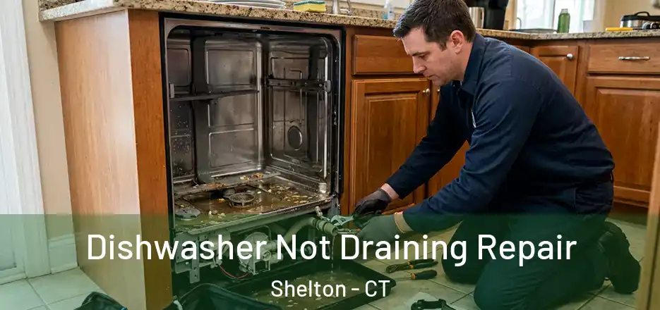 Dishwasher Not Draining Repair Shelton - CT