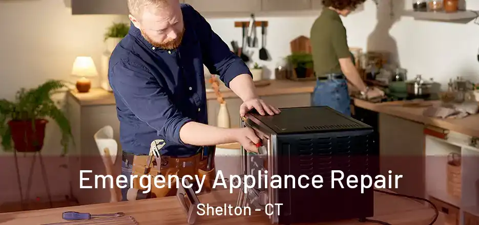 Emergency Appliance Repair Shelton - CT