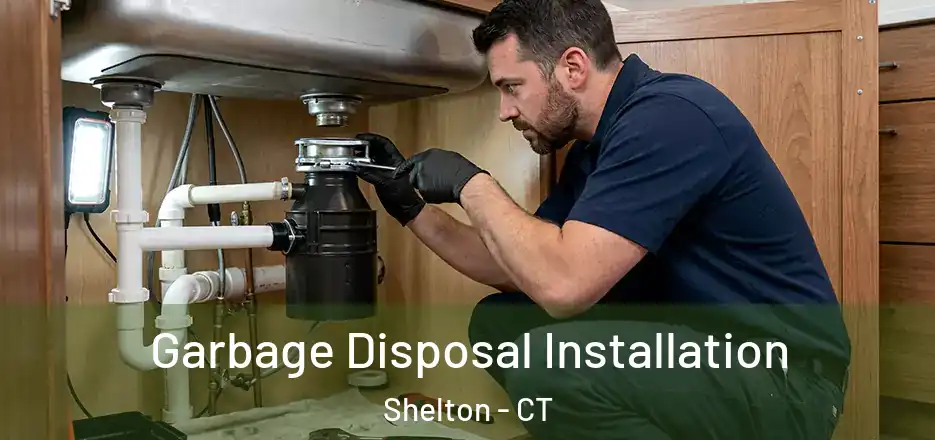Garbage Disposal Installation Shelton - CT