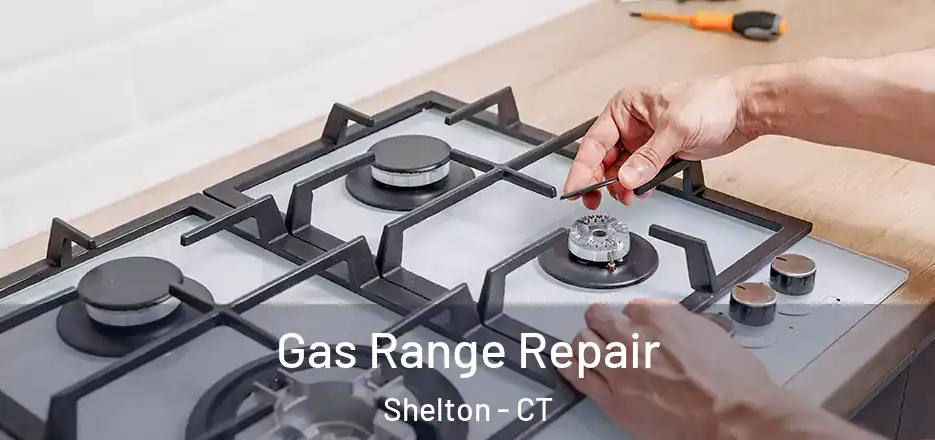  Gas Range Repair Shelton - CT