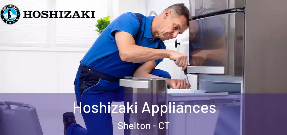 Hoshizaki Appliances Shelton - CT
