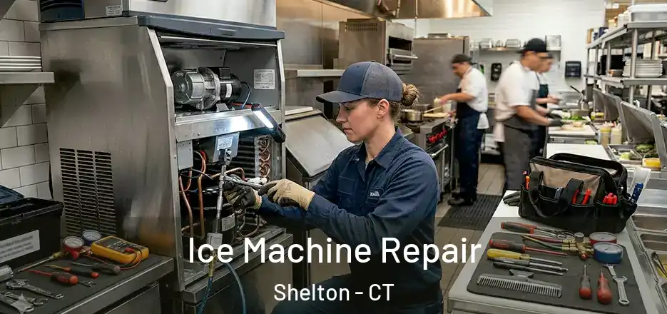 Ice Machine Repair Shelton - CT