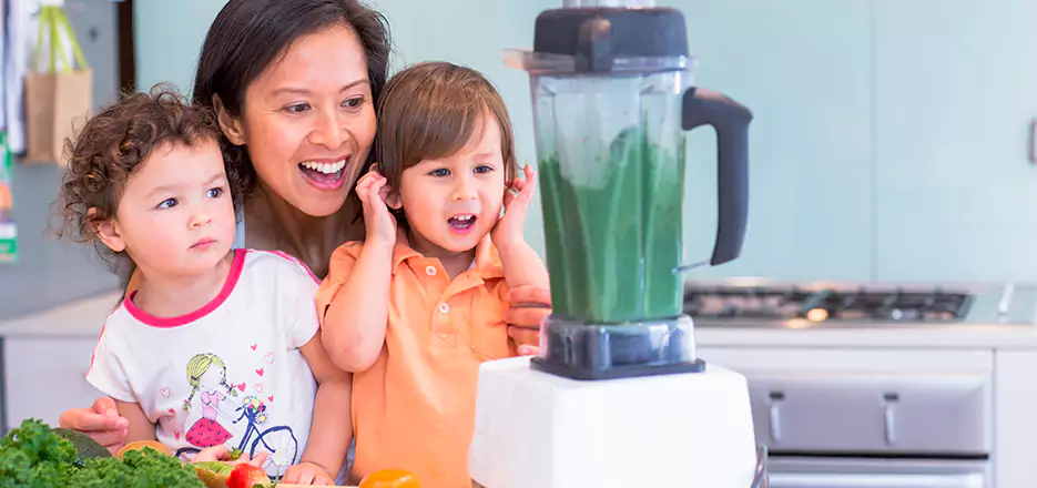 Juicer and Mixer Blender Repair in Shelton 