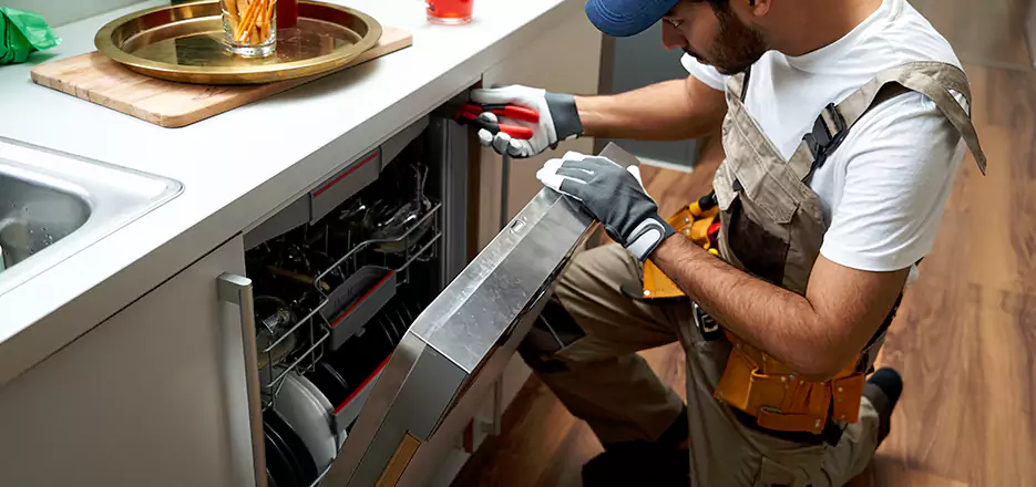 Same Day Dishwasher Not Draining Repair in Shelton