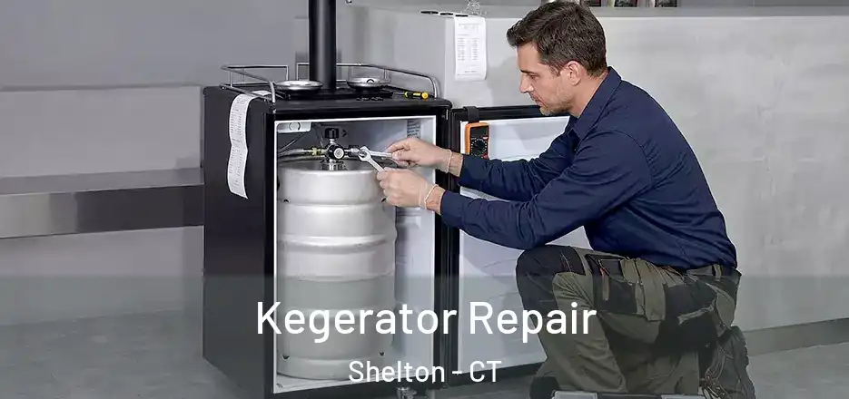  Kegerator Repair Shelton - CT