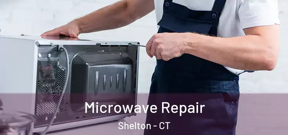 Microwave Repair Shelton - CT