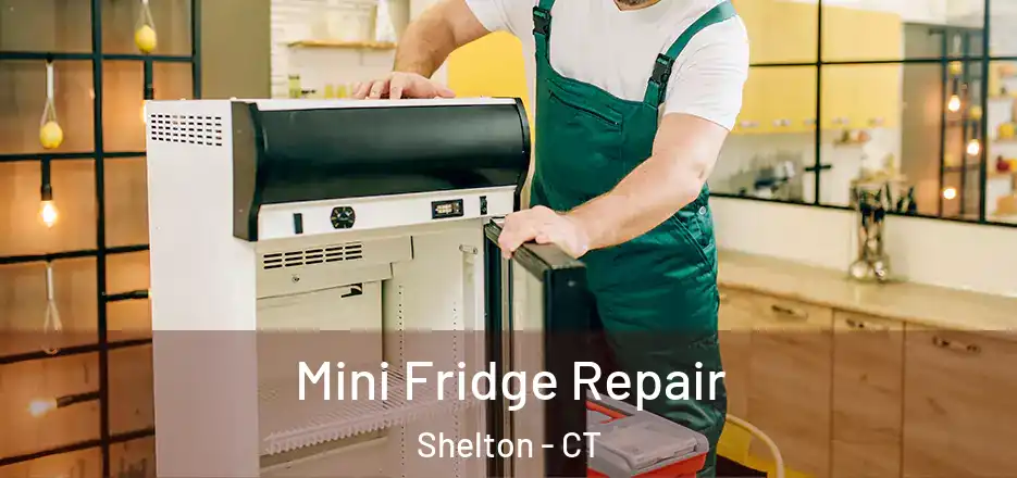  Mini Fridge Repair Shelton - CT