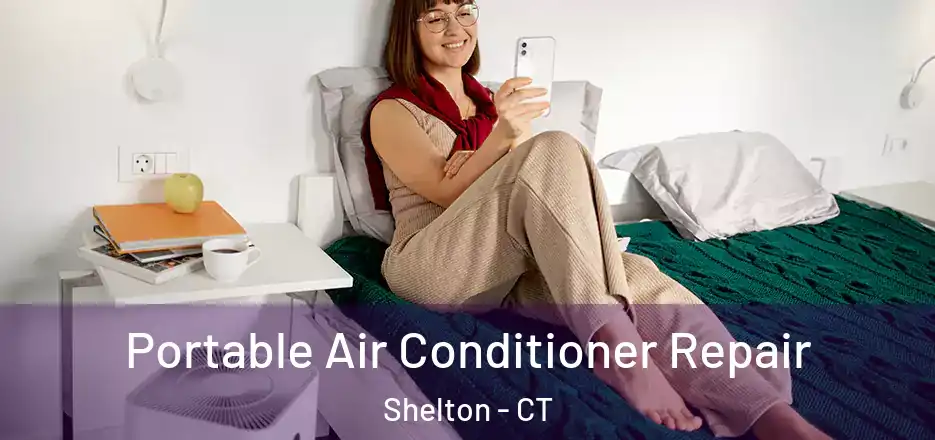 Portable Air Conditioner Repair Shelton - CT