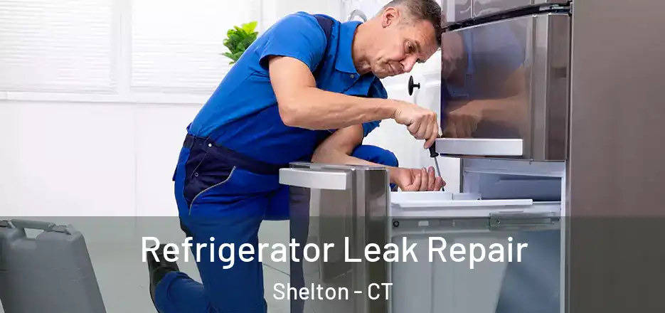 Refrigerator Leak Repair Shelton - CT