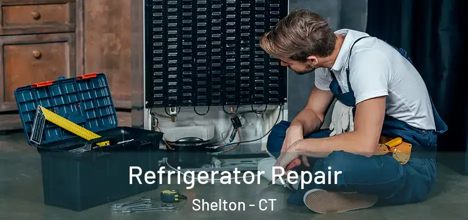  Refrigerator Repair Shelton - CT