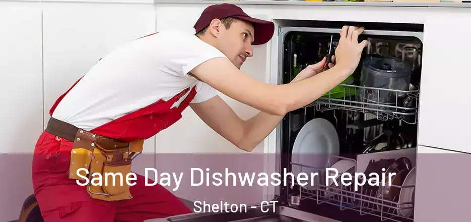  Same Day Dishwasher Repair Shelton - CT
