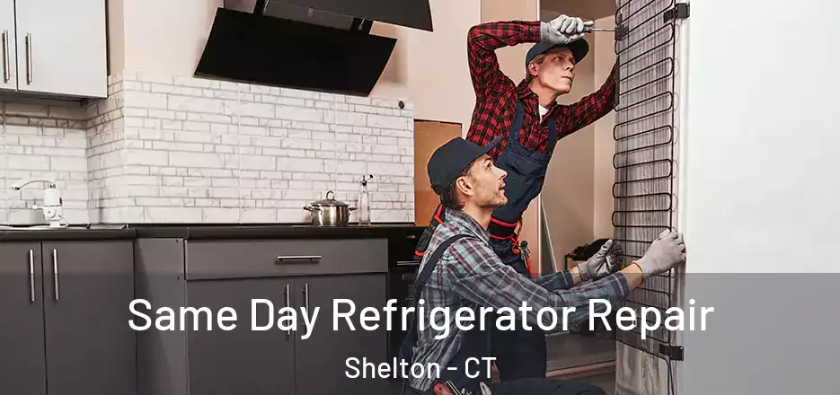  Same Day Refrigerator Repair Shelton - CT