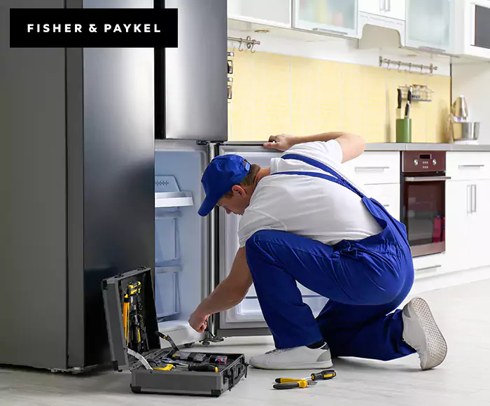 Top-Rated Fisher & Paykel Appliance Experts: Your Brand Specialist in Shelton, CT