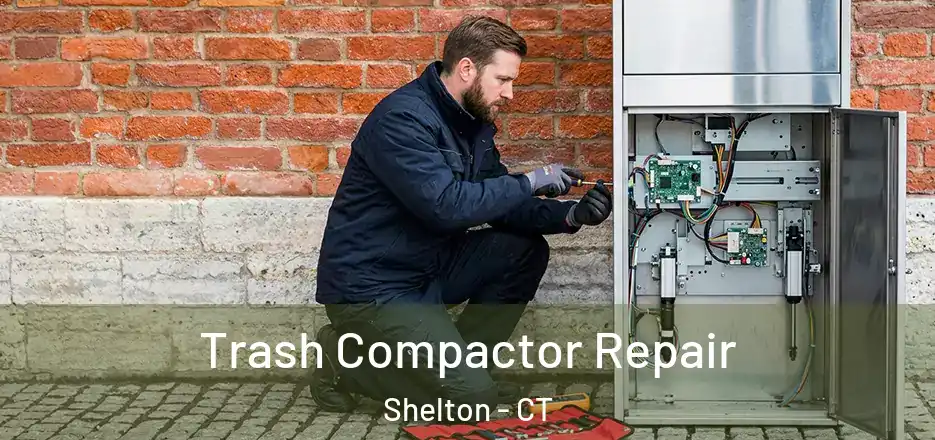Trash Compactor Repair Shelton - CT