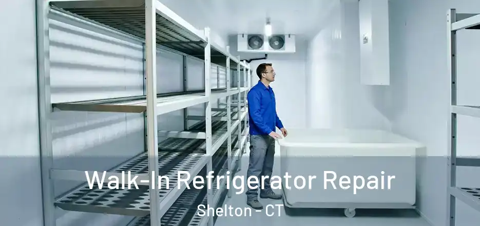 Walk-In Refrigerator Repair Shelton - CT
