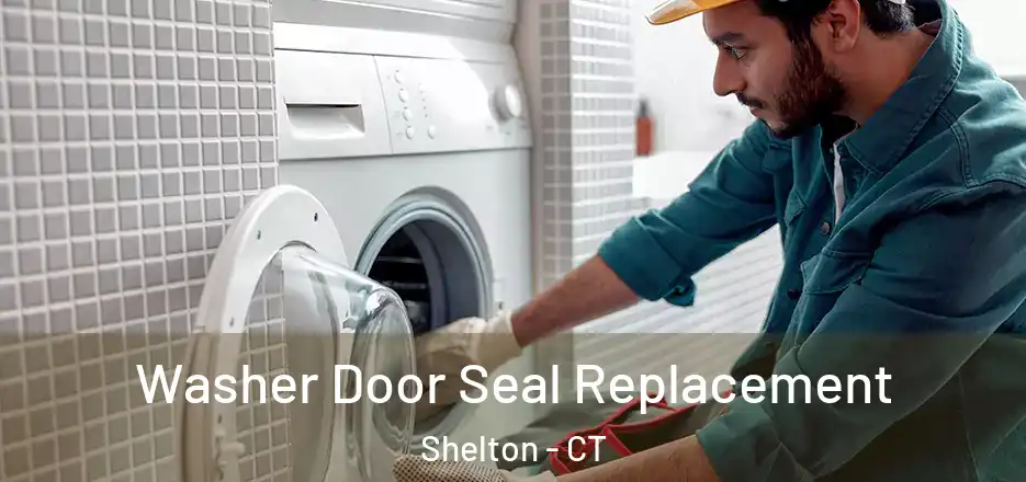 Washer Door Seal Replacement Shelton - CT